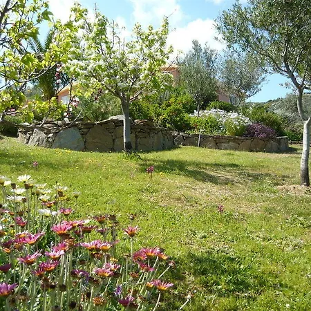 Li Muntigeddi