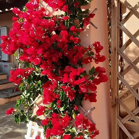 Guest house Li Muntigeddi