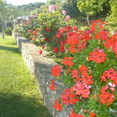 Πανσιόν Li Muntigeddi San Teodoro (Sardinia)