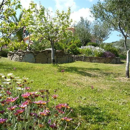 Li Muntigeddi Guest house