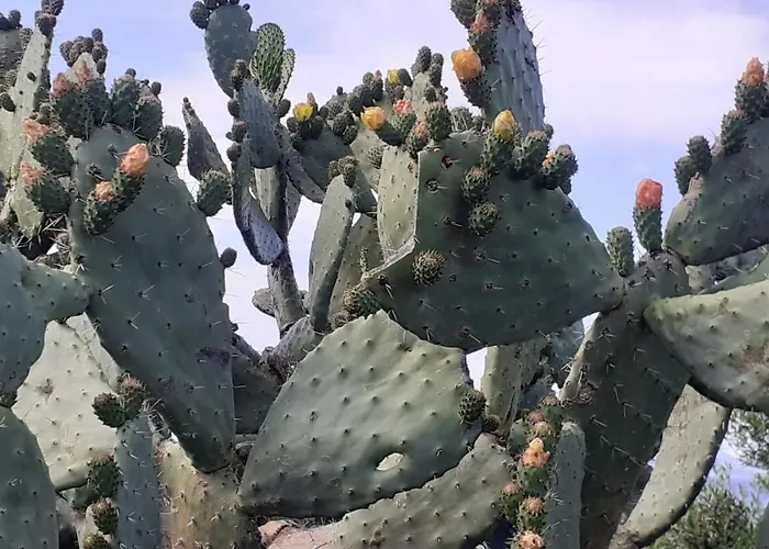 Pensjonat Li Muntigeddi