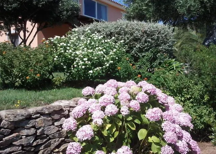 Pensjonat Li Muntigeddi