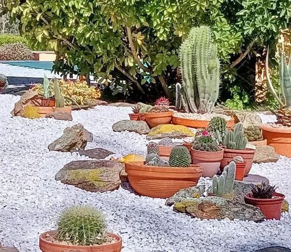 Li Muntigeddi Pensjonat