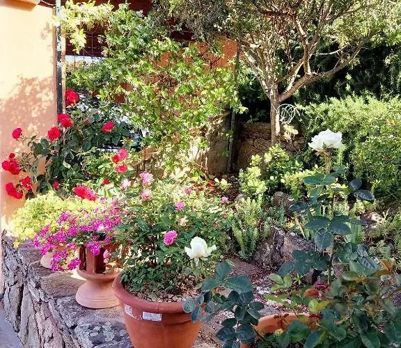 Pensjonat Li Muntigeddi 4*